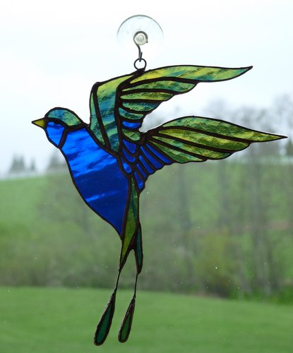 Barn swallowtail 